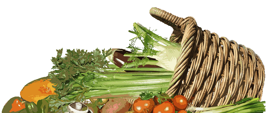 Image alternative description text