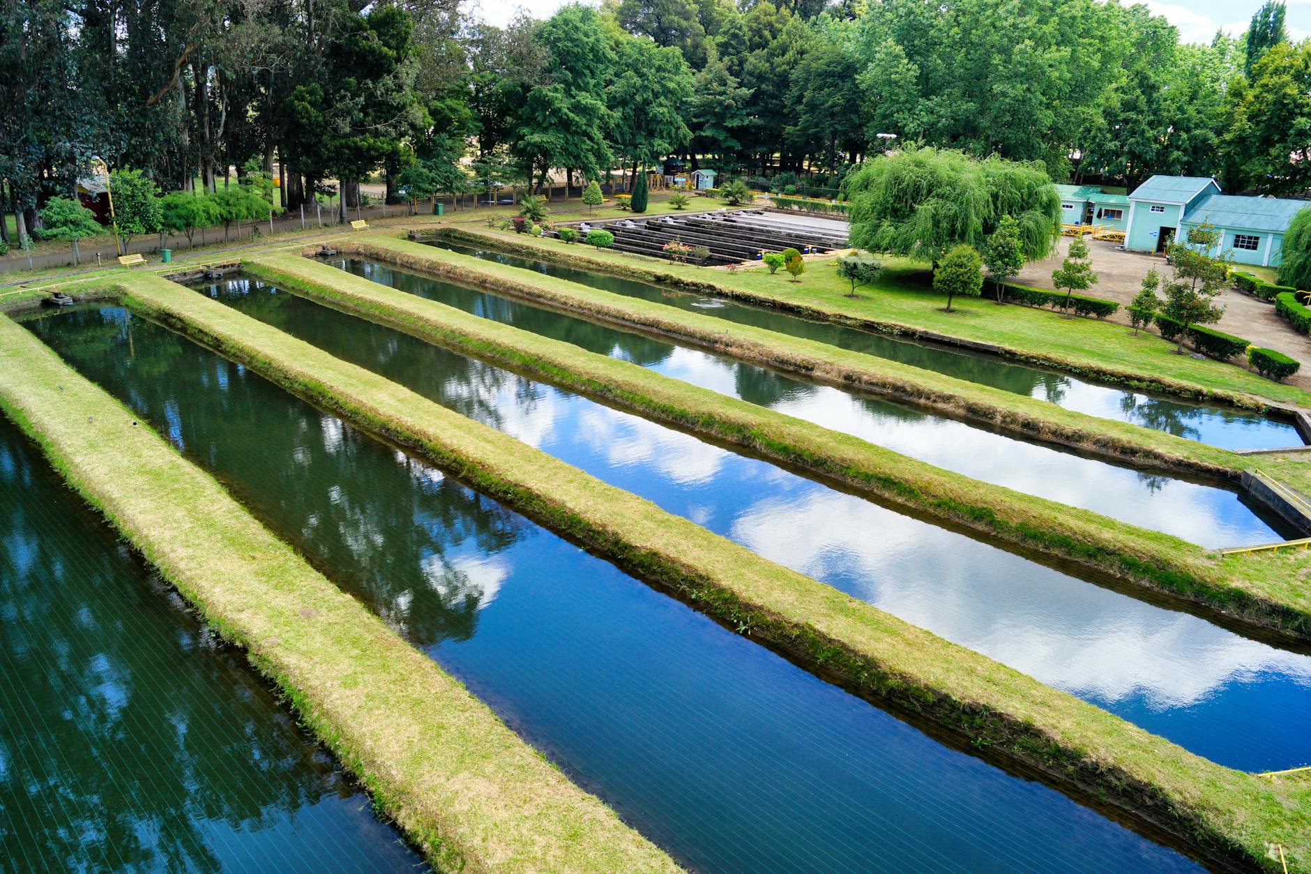 pools of aquaculture field